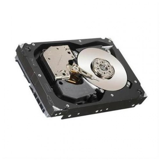 Seagate 300GB 10K RPM 2.5Inch SAS Hard Disk 9WE066-175